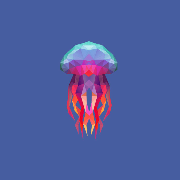 Jellyfish